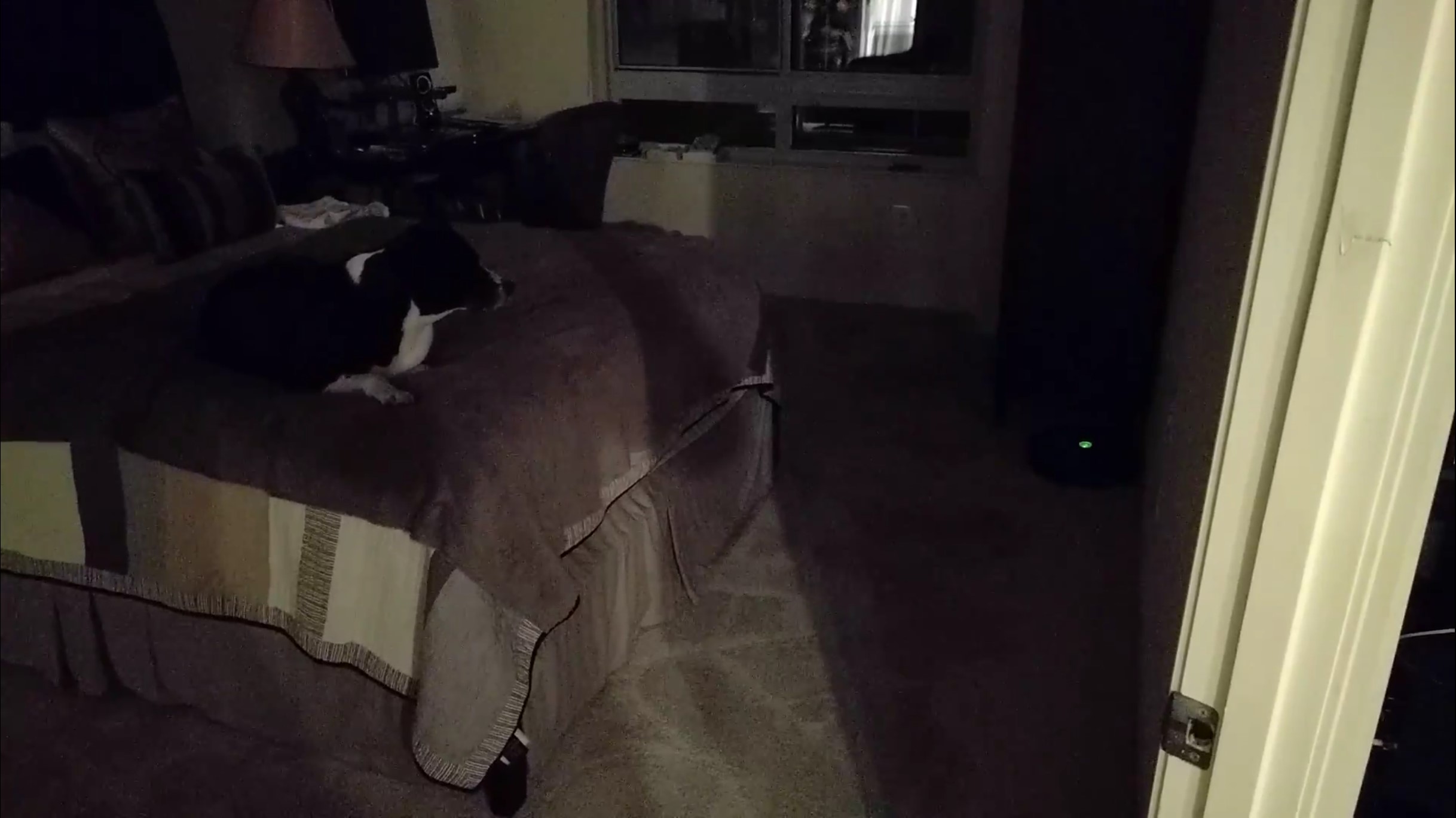 Meeting a Roomba